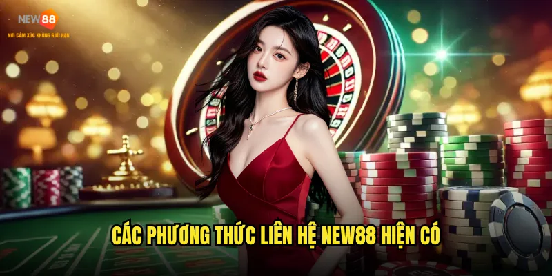 Ưu đãi và chính sách chăm sóc thành viên của New88 nhà cái